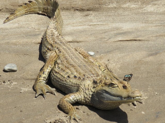 Amazon tours from Cusco