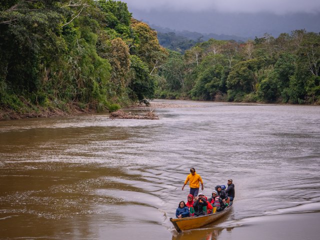 Amazon tours from Cusco